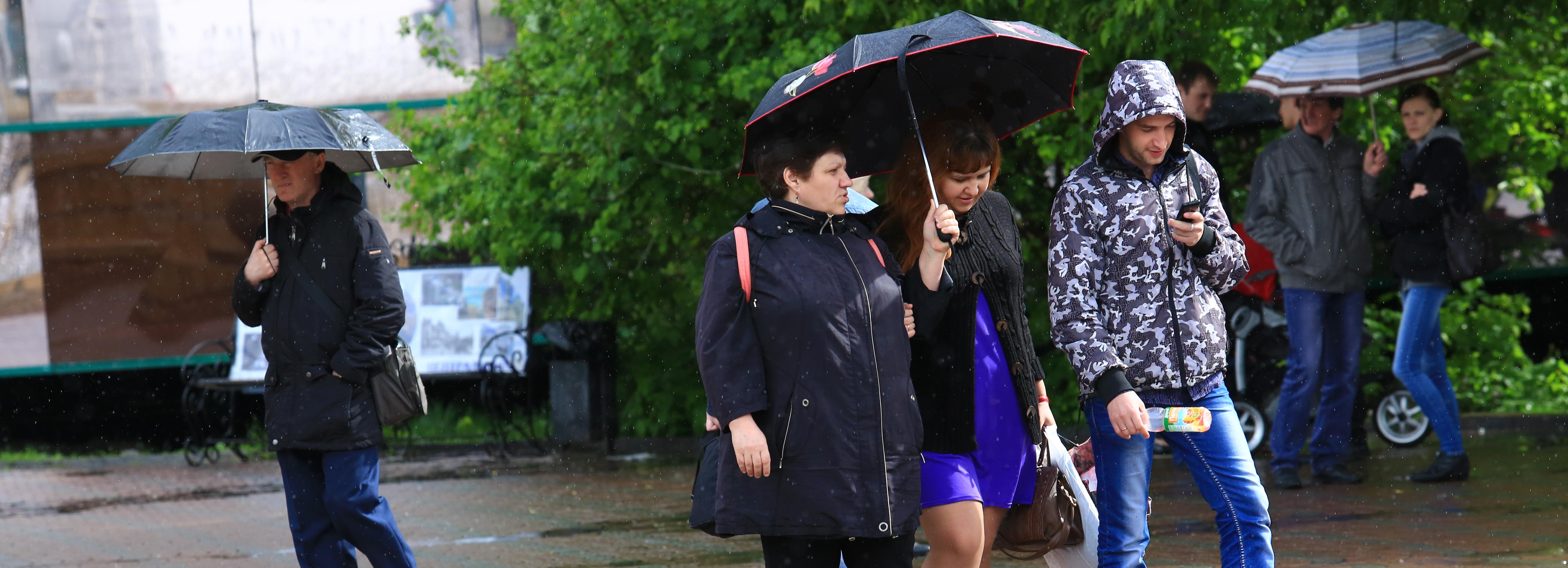 Лету конец: в выходные в Новосибирске похолодает