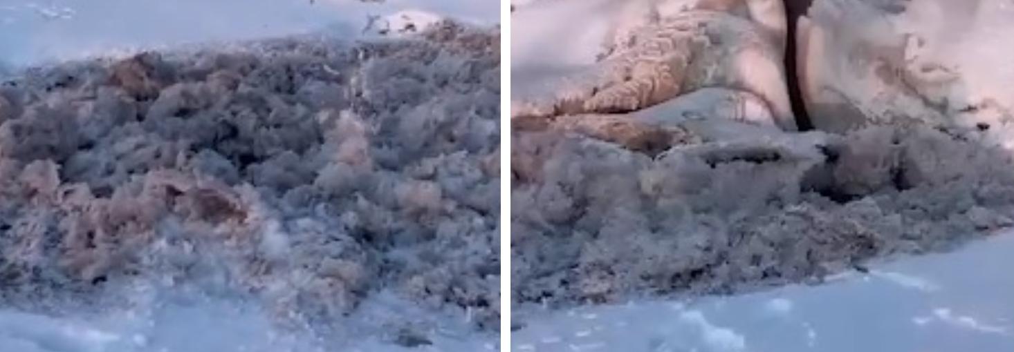 Дачники обвиняют нефтебазу в загрязнении Оби под Новосибирском