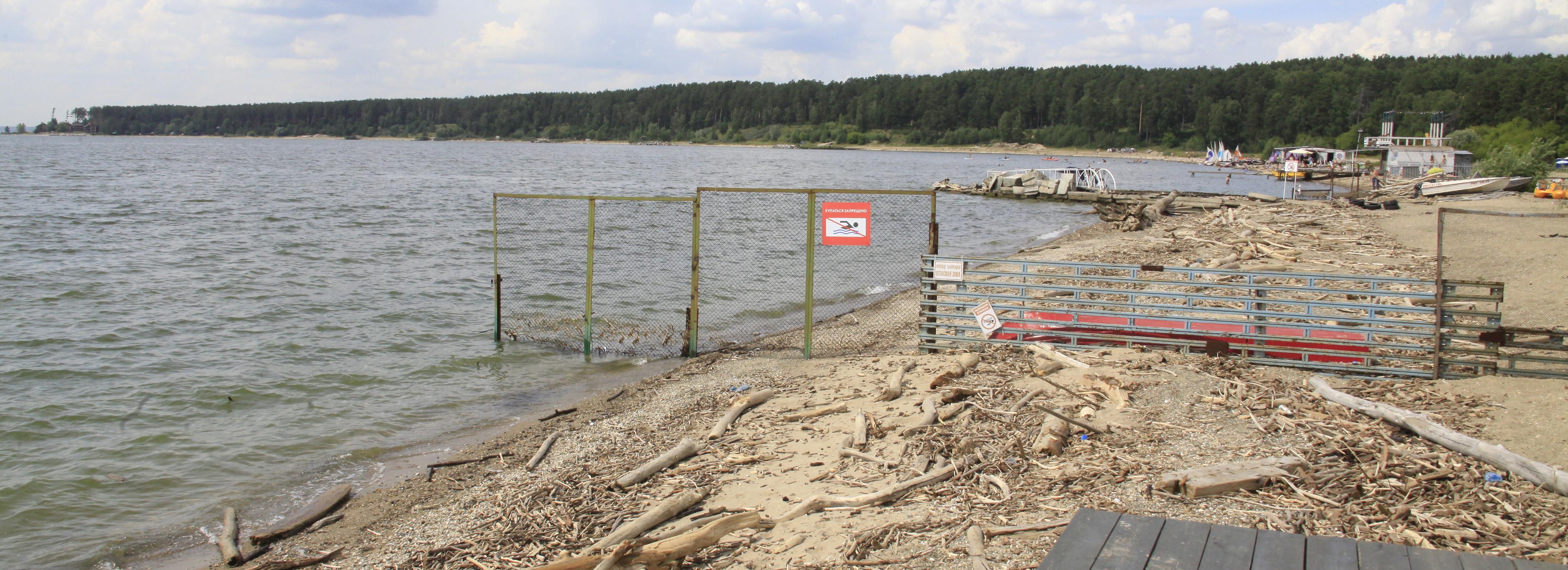 Новосибирцев зовут на воркшоп по благоустройству пляжа Академгородка