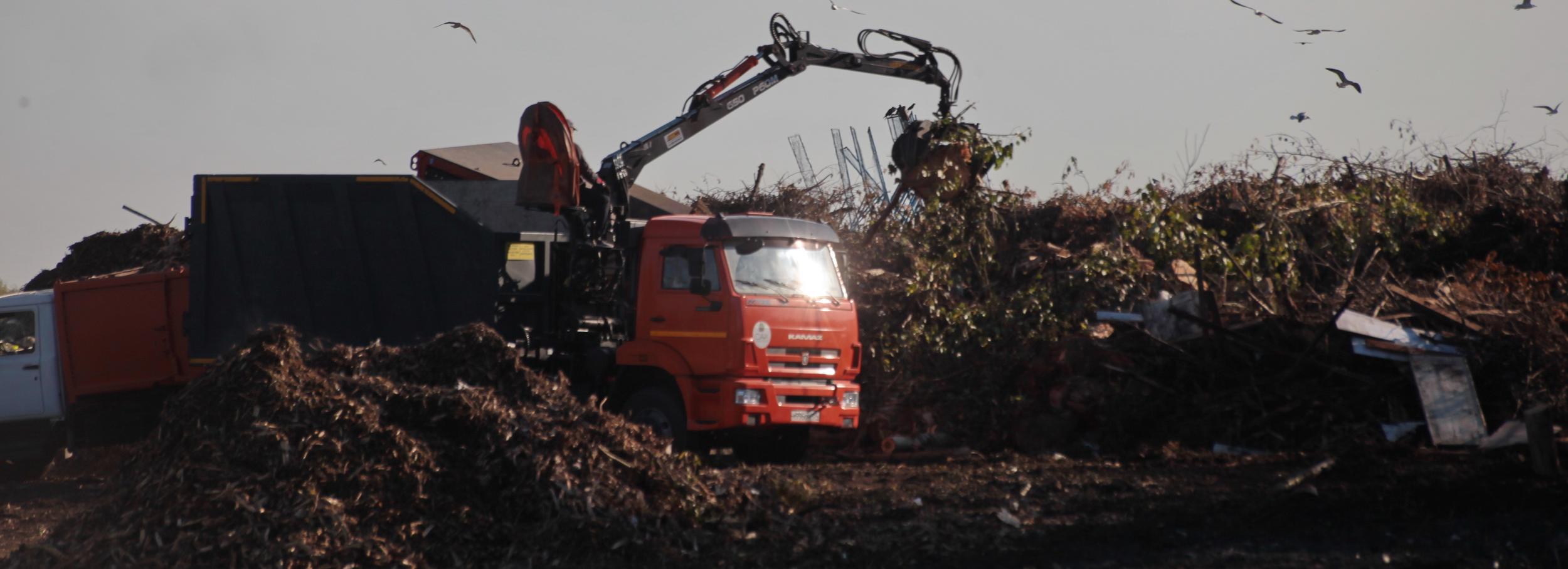 Рекультивацию мусорного полигона в Пашино завершат в этом году