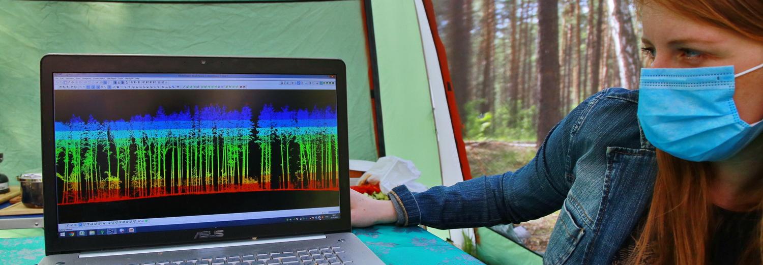 Таксаторы с лазерами считают деревья в новосибирских лесах