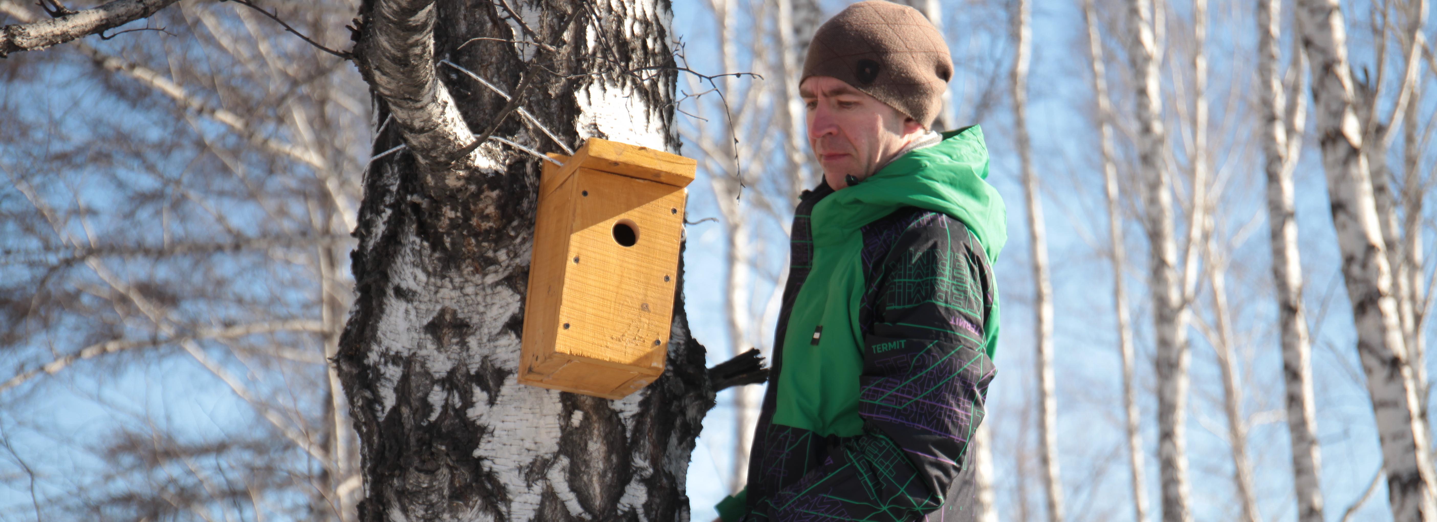 Перелётные птицы возвращаются с зимовки в Новосибирск