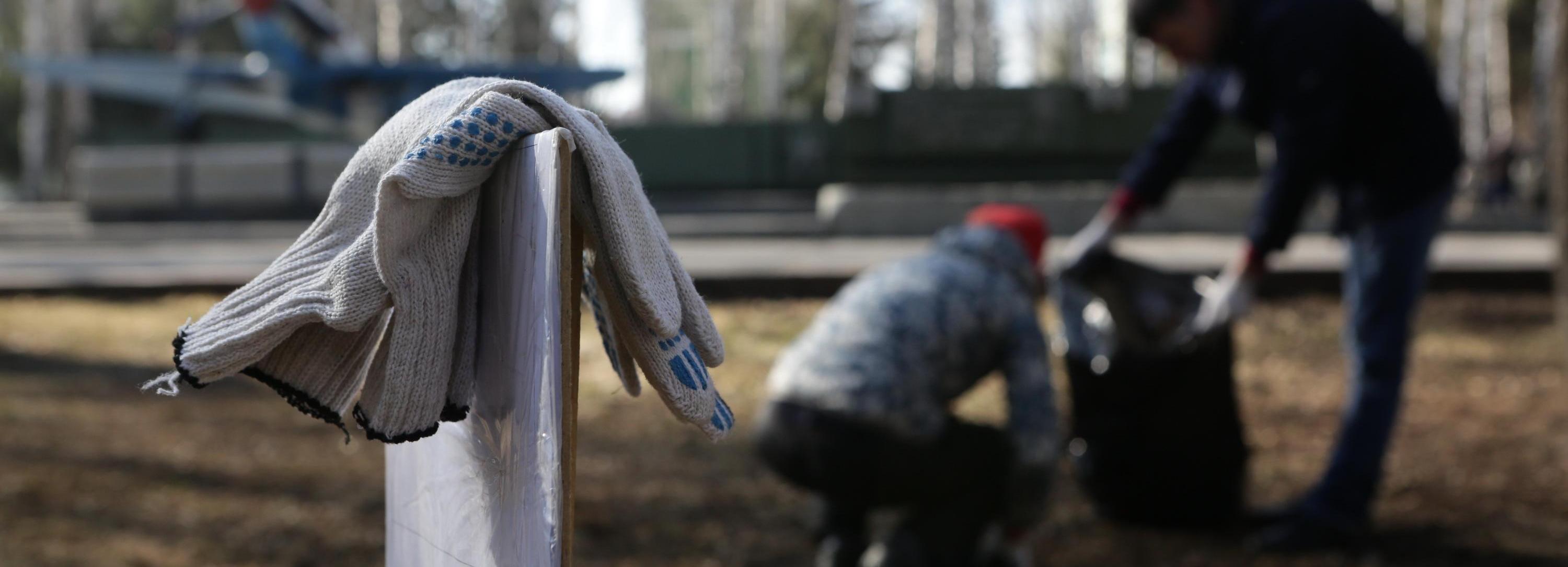 Названа дата общегородского осеннего субботника