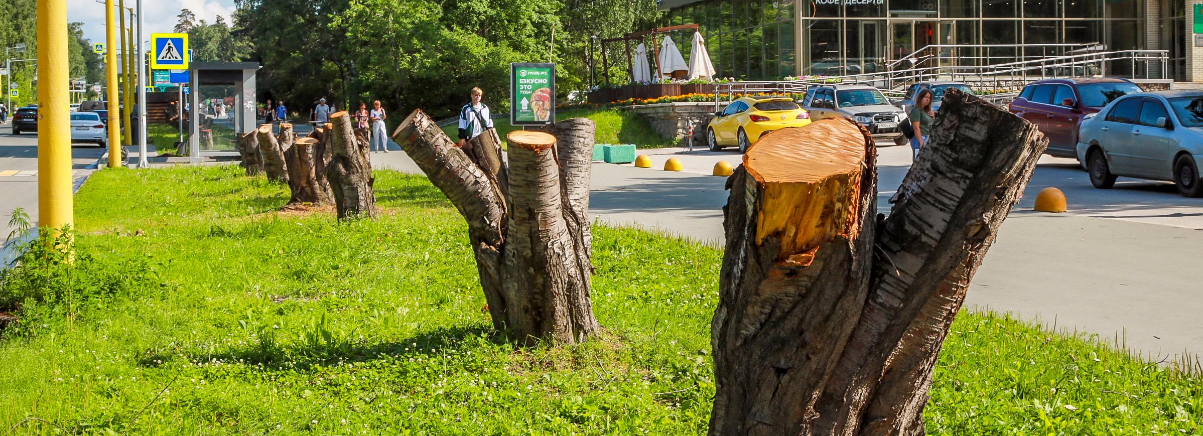 На аллее улицы Ильича убрали пни и начали замену грунта