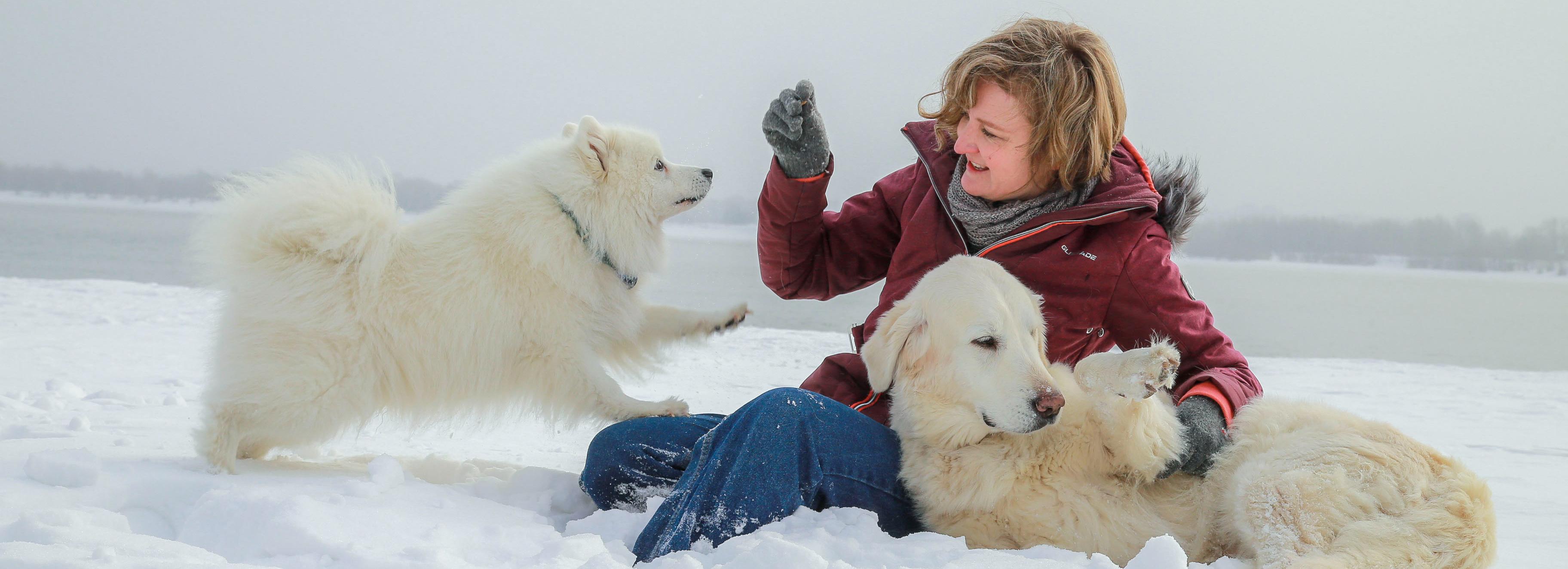 Топ-10 лучших интервью «Новосибирских новостей» за 2022 год