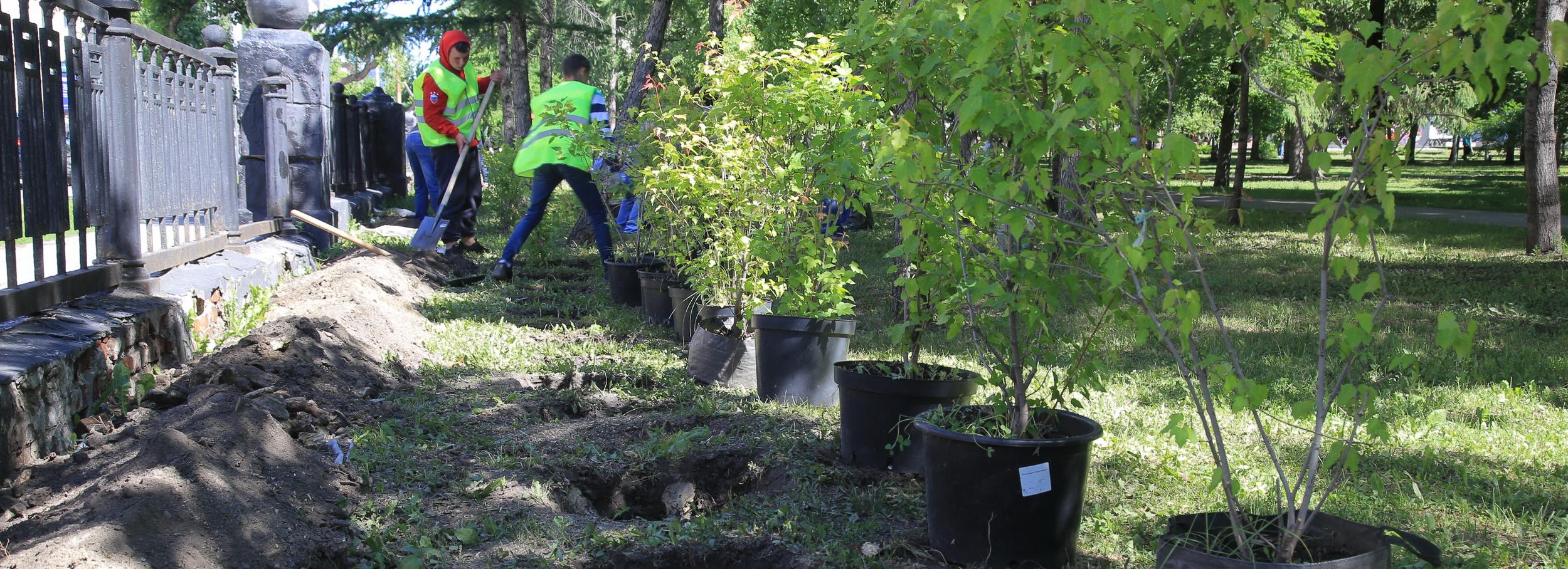 В мае начнётся комплексное благоустройство Первомайского сквера