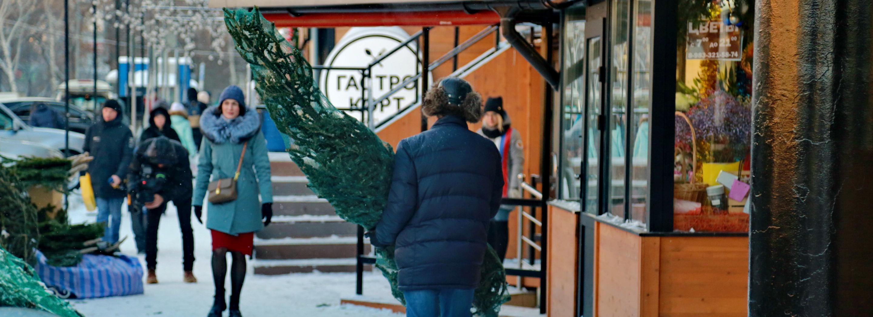 Понюхать, пощупать, потрясти: как выбрать новогоднюю ёлку