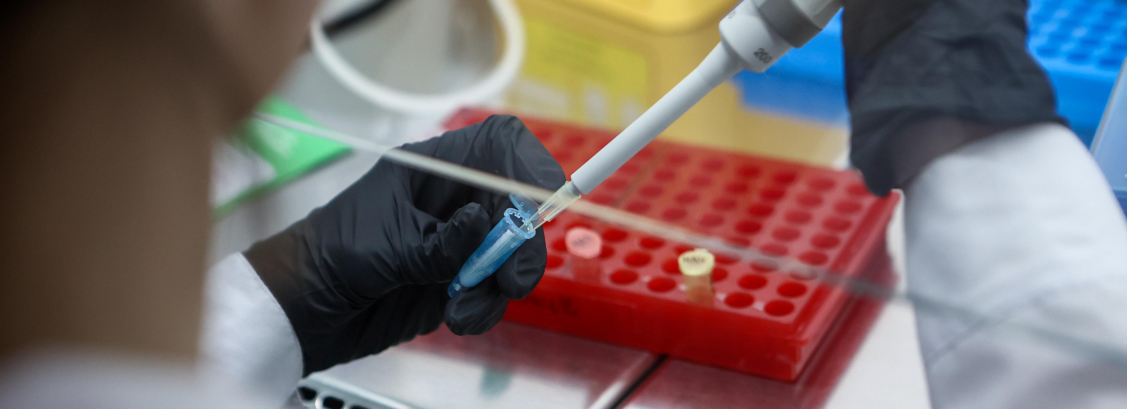 Учёные НГУ разработали программу для поиска мутаций по анализу ДНК