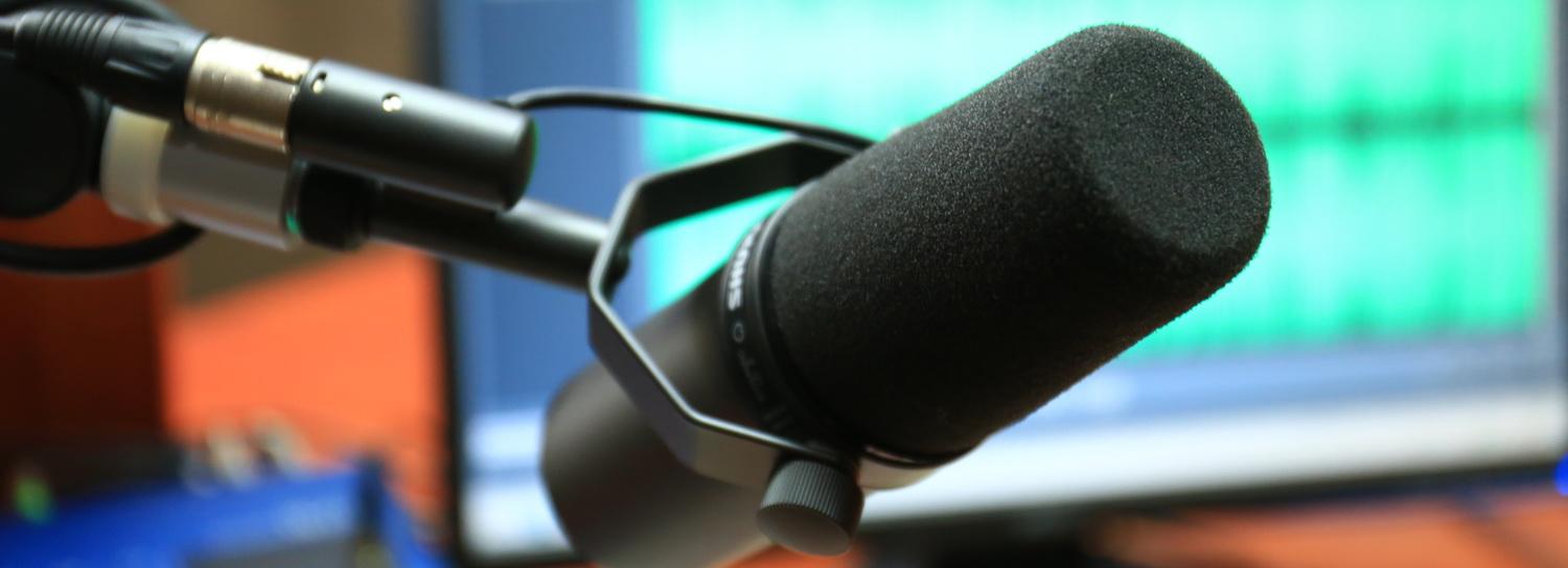 Как добиться успеха в панкратионе — слушайте в прямом эфире Горволны