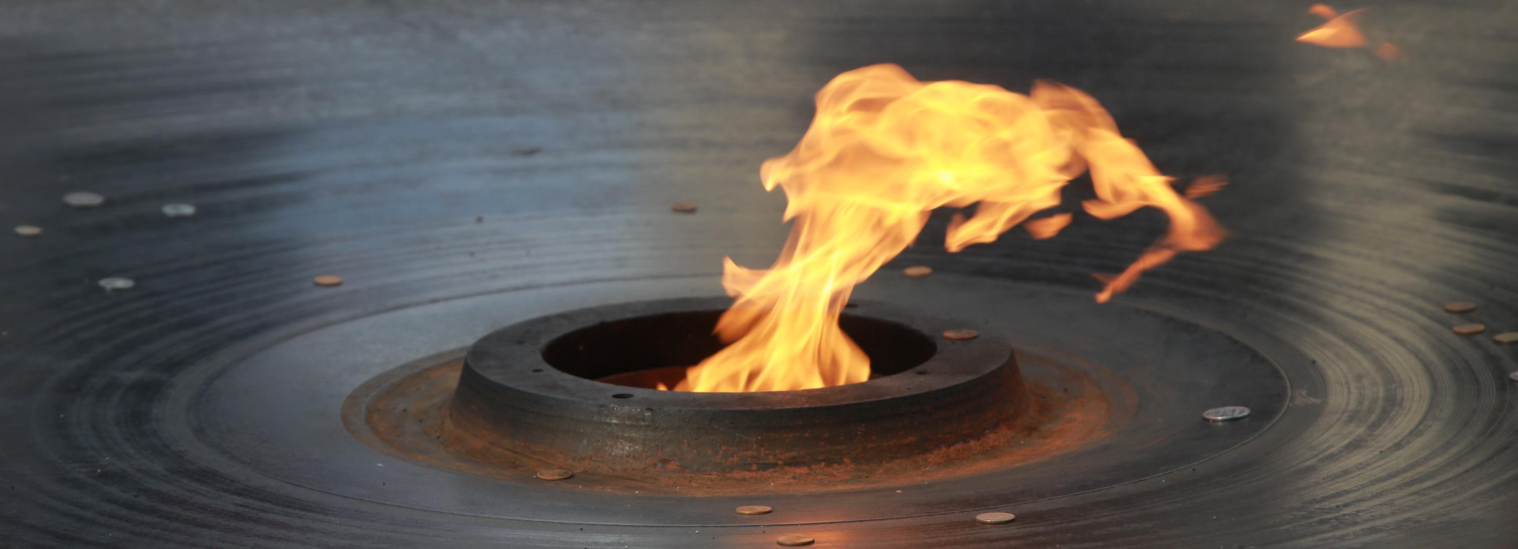 День белых журавлей: павших воинов вспомнили в Новосибирске