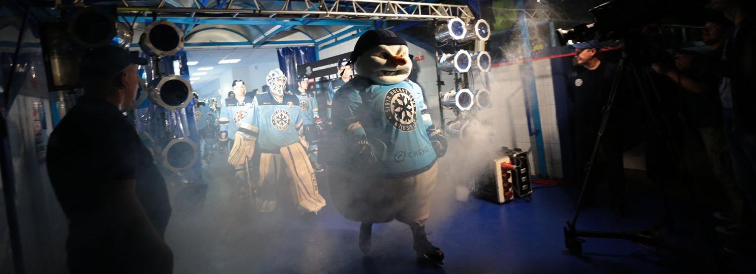 Снеговик поможет новосибирцам собрать мусор на берегу Ельцовки