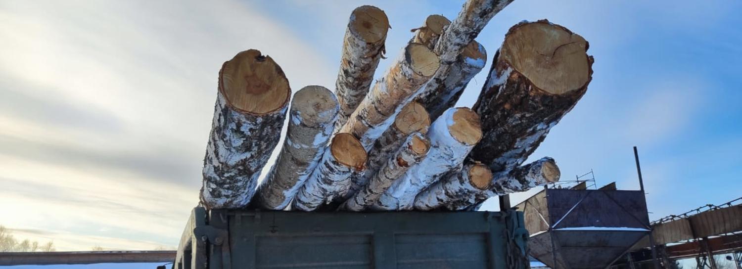 Новосибирцы могут бесплатно заготовить дрова через заявку на Госуслугах
