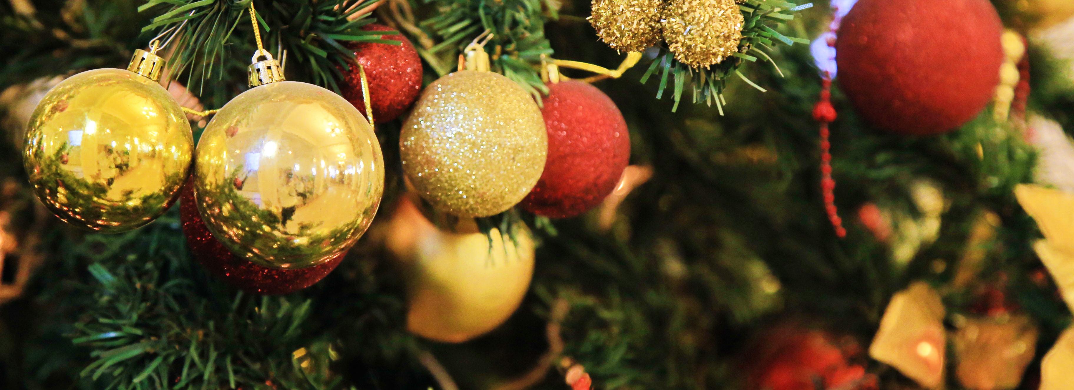 Дети из Донбасса отпразднуют Новый год в Новосибирске