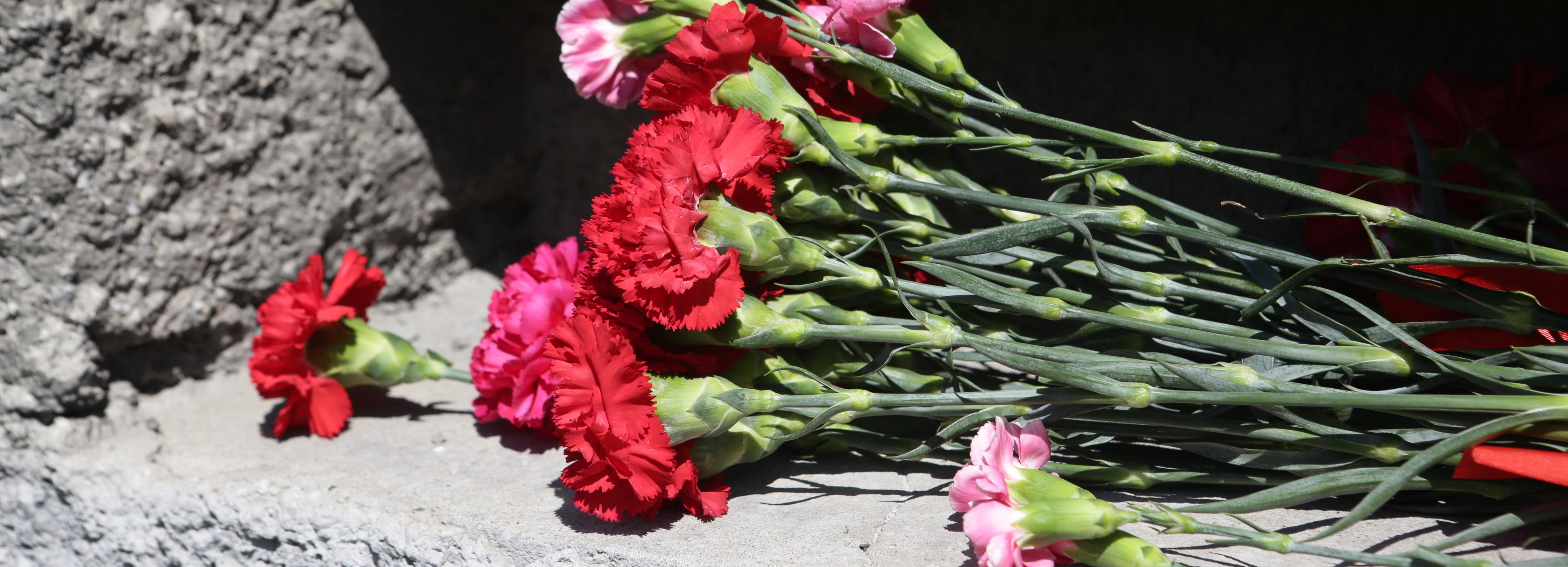 Памятную доску командиру Никите Цвиренко установят в Новосибирске