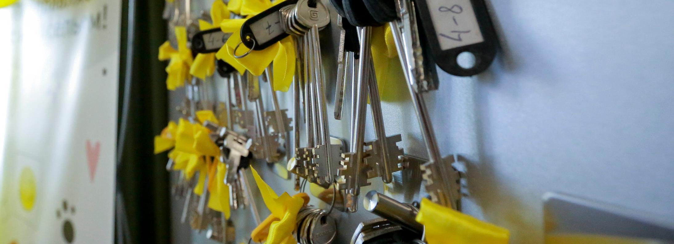 Многодетные новосибирцы тратят семейный капитал на ремонт и ипотеку