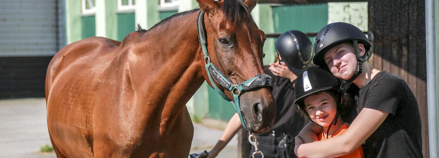 Зверское обаяние: животные, которые нас удивили в 2024 году