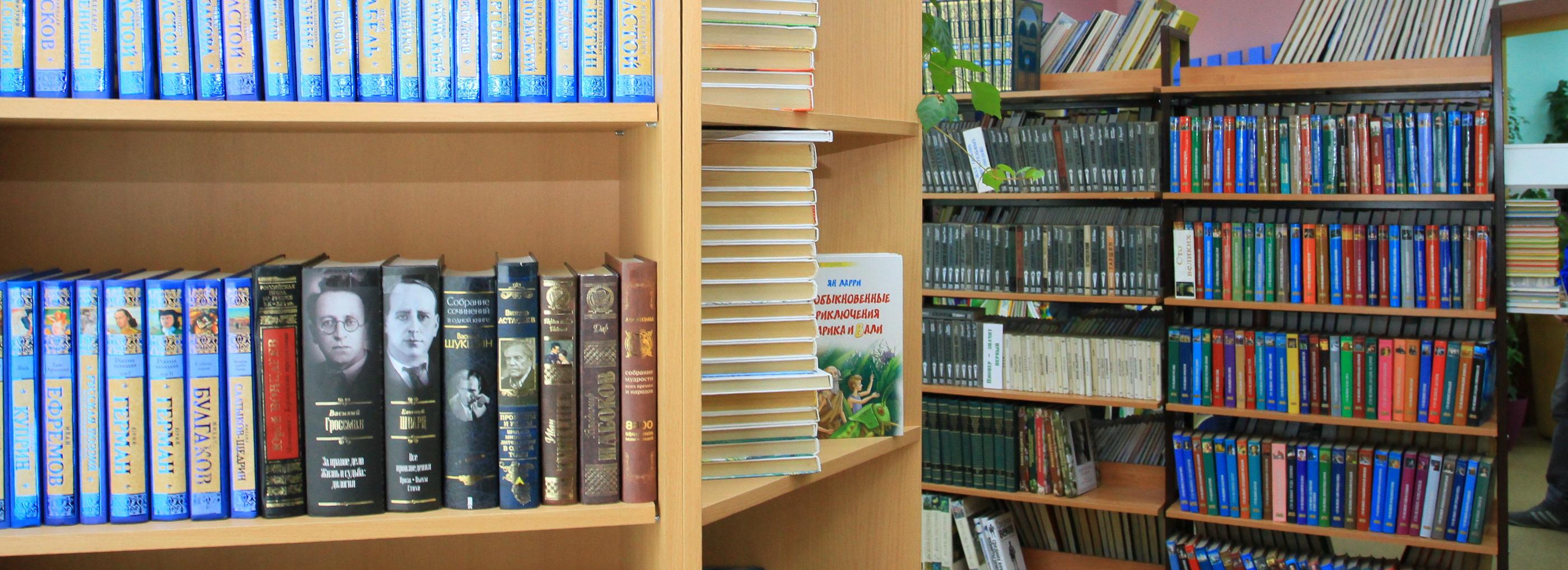 848 библиотек насчитали в Новосибирской области