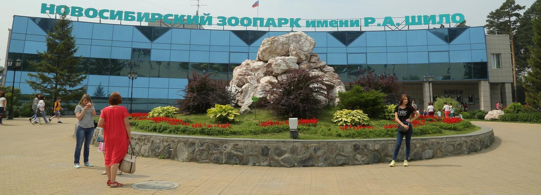 Новосибирцы предложили помощь зоопарку после страшного пожара