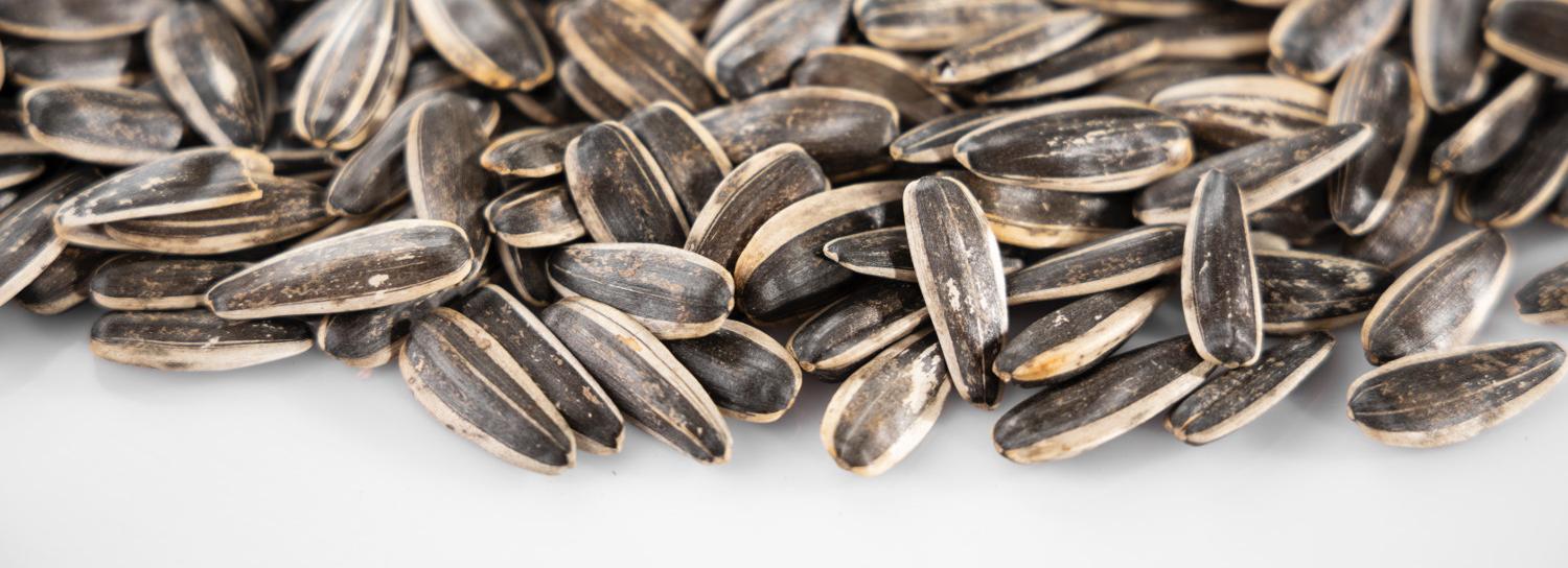 Крупный сибирский экспортёр растительных масел увеличил выпуск на 15%