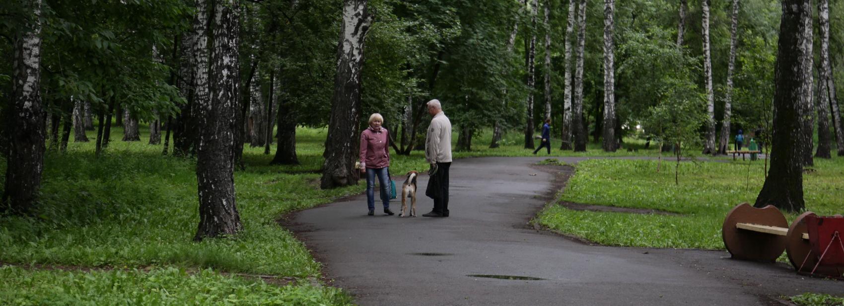 Что есть в Берёзовой роще: по парку устроили бесплатную экскурсию