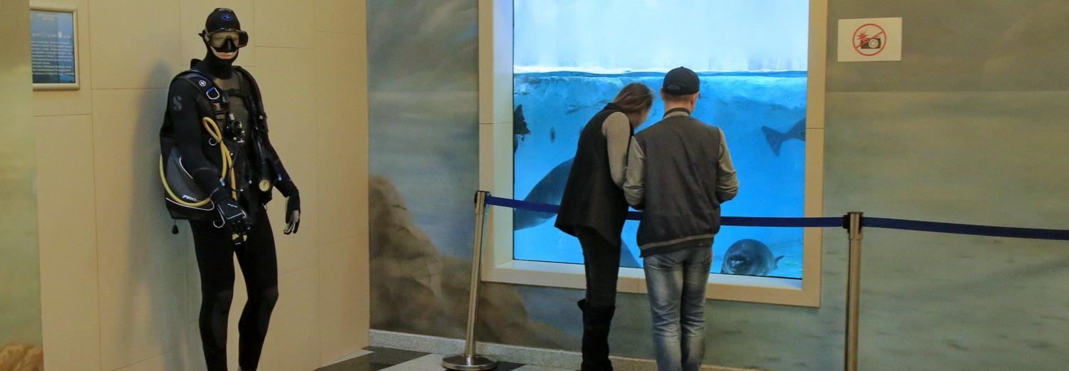 Ушастых медуз впервые вывели в новосибирском океанариуме