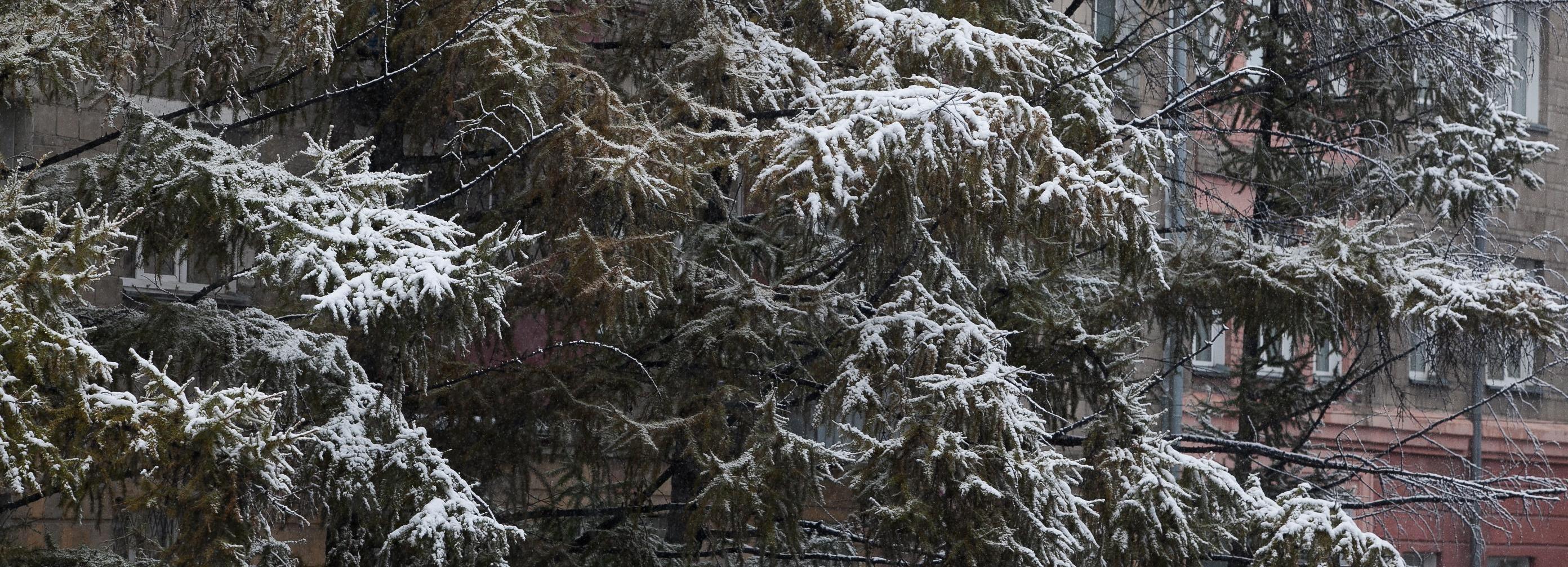 Одеваемся теплее: синоптики дали прогноз на октябрь в Новосибирске