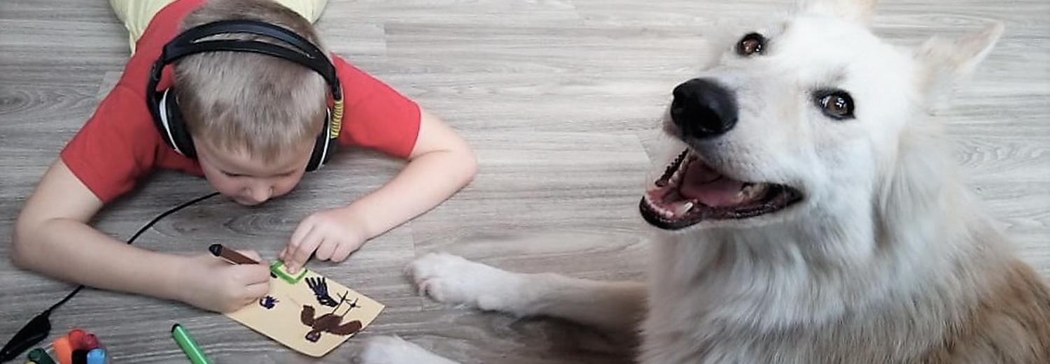 Железные лапки, Пират и сова из курятника: 14 фото животных с тяжёлой судьбой