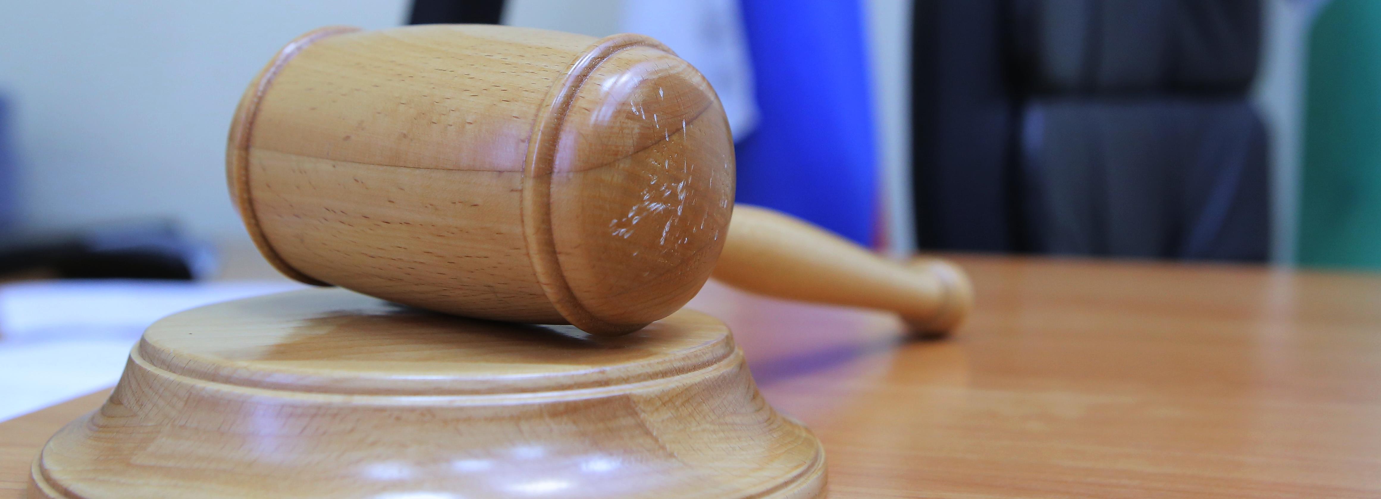 Жительницу Новосибирска арестовали за брань у избирательного участка