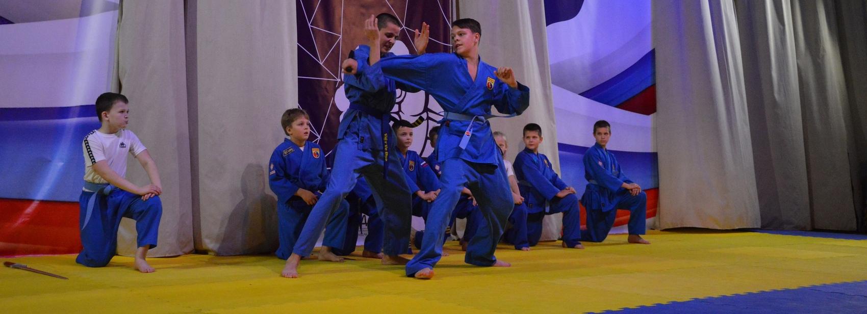 Аплодисменты и восторг: какие впечатления оставил фестиваль единоборств