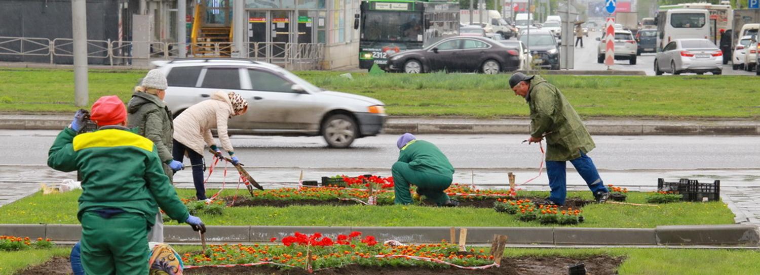 Плоские клумбы на развязках в Новосибирске заменят кустарниками