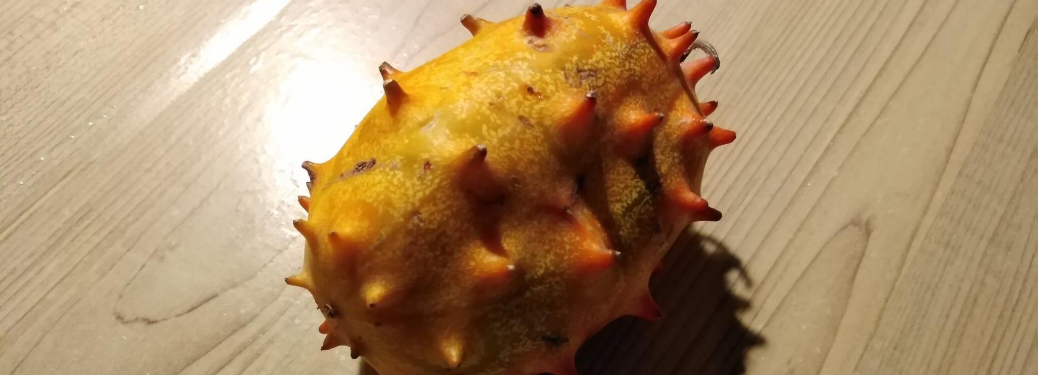 Африканские рогатые огурцы вырастил на своём огороде новосибирец