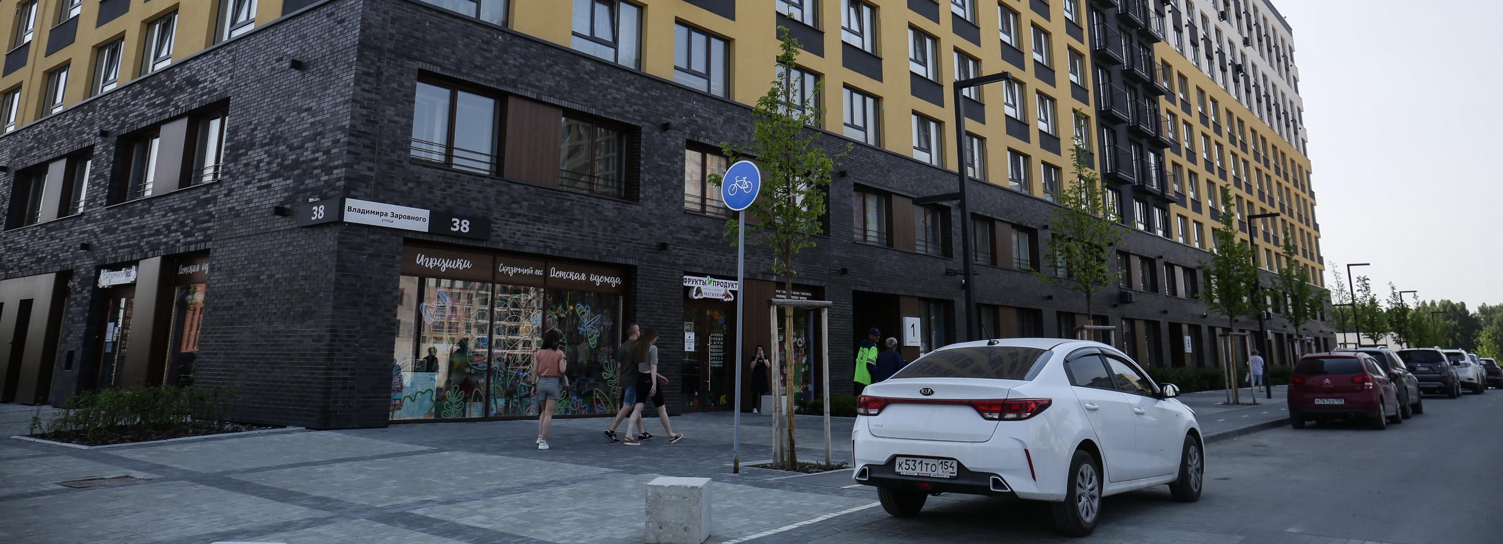 Новосибирцы не хотят сдавать квартиры людям с кошками и собаками