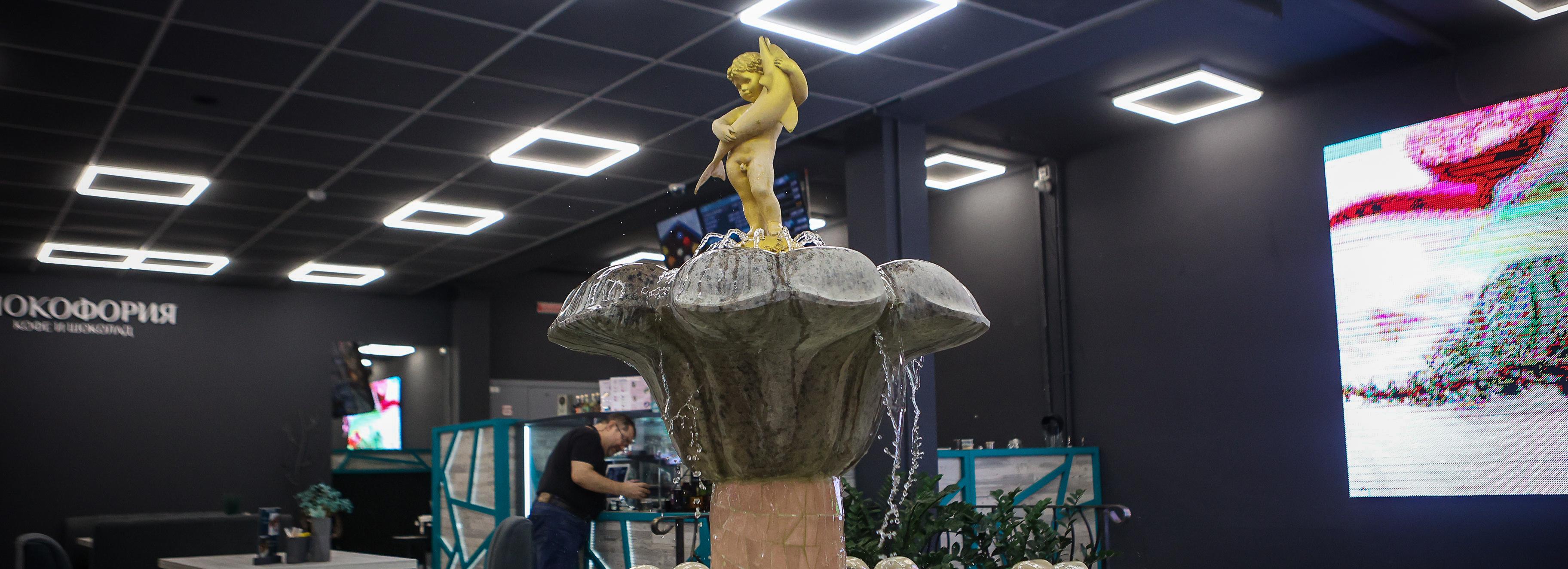 Мальчик с рыбкой и компания: какие фонтаны работают зимой в Новосибирске