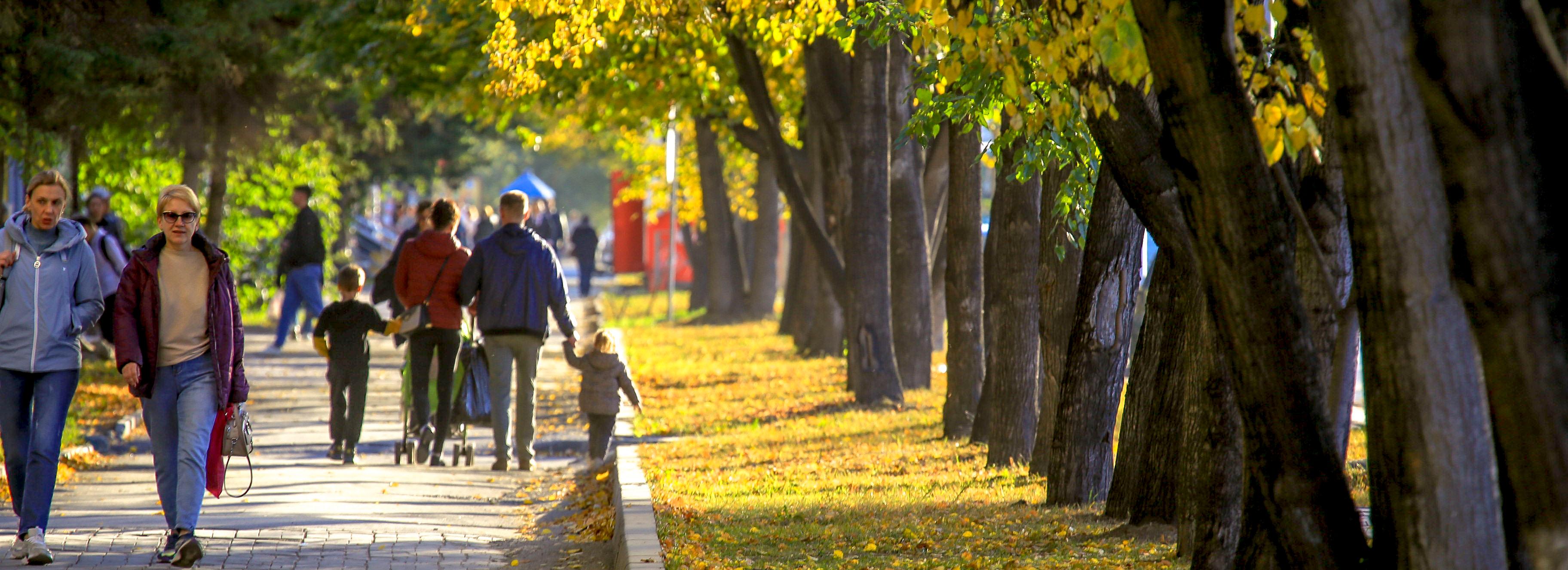 Ныряющая волна с Атлантики принесёт в Новосибирск потепление до +13
