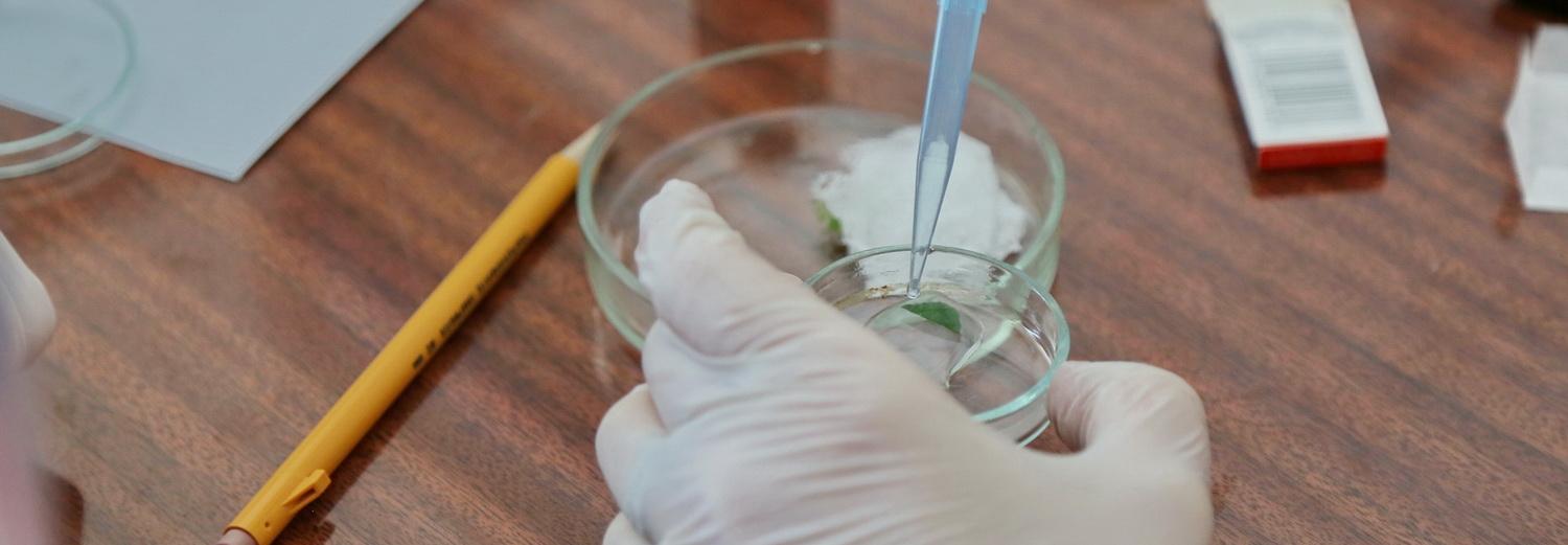 Уже 18: пять новых случаев заражения коронавирусом выявили в Новосибирске