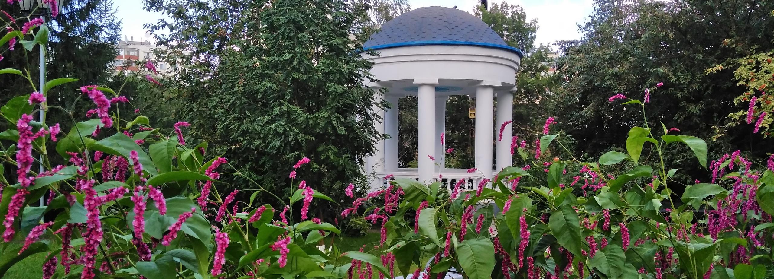 Зелёный двор с ротондой на Горском жилмассиве официально станет парком