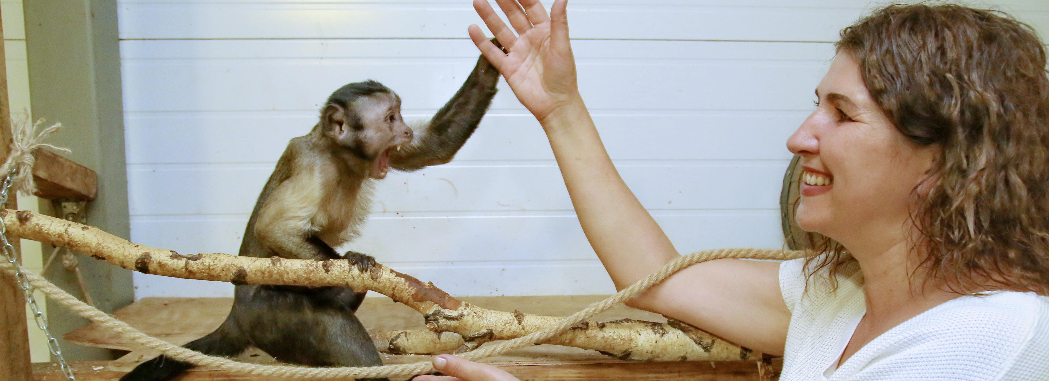 «На каждого таракана нужен сертификат»: репортаж из зоопарка на Затулинке