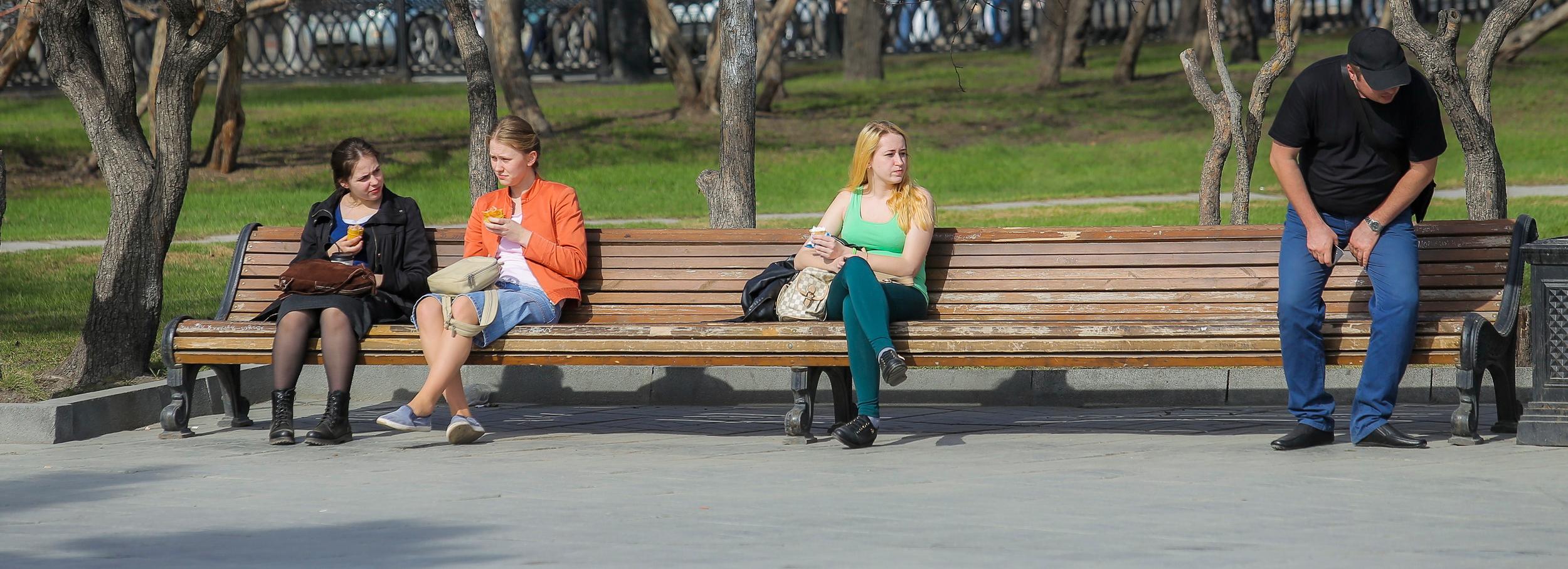 Жару до +22 градусов сменит новая волна холода в Новосибирске