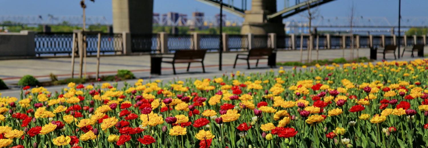 Код города: обустройство парков, трудовая доблесть и трамвайная выставка