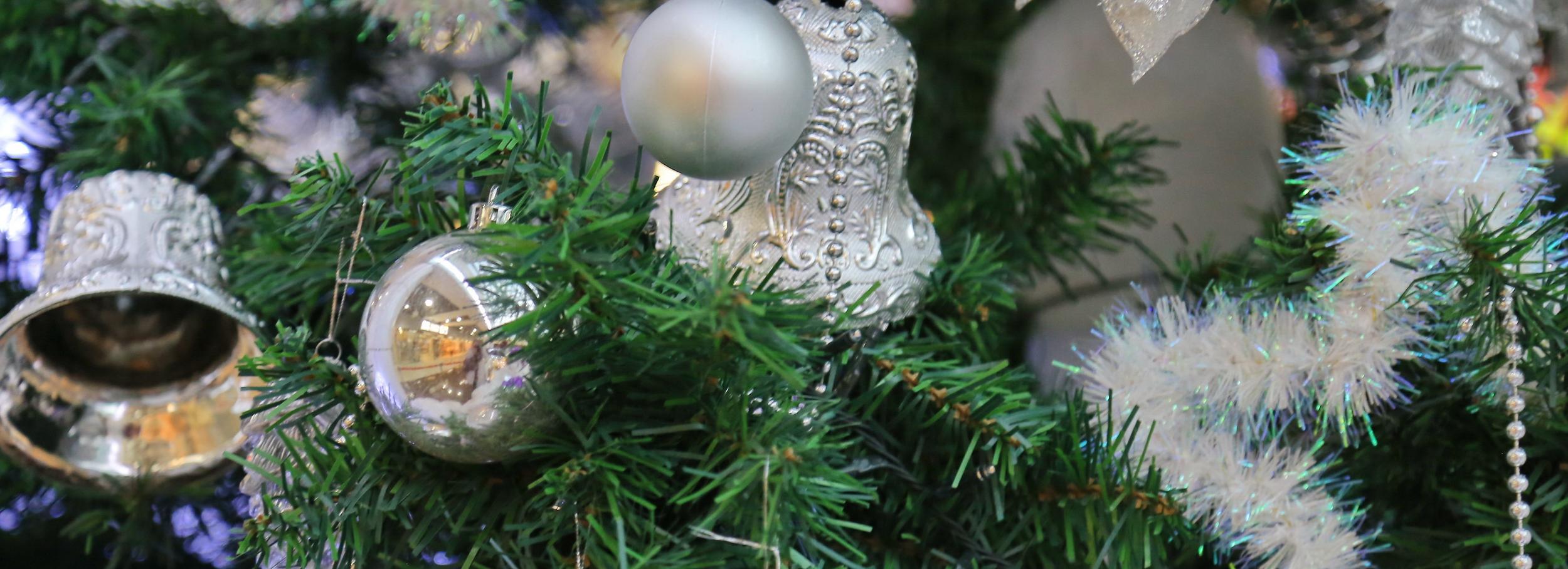 Куда сдать ёлку на переработку в Новосибирске — пункты приёма