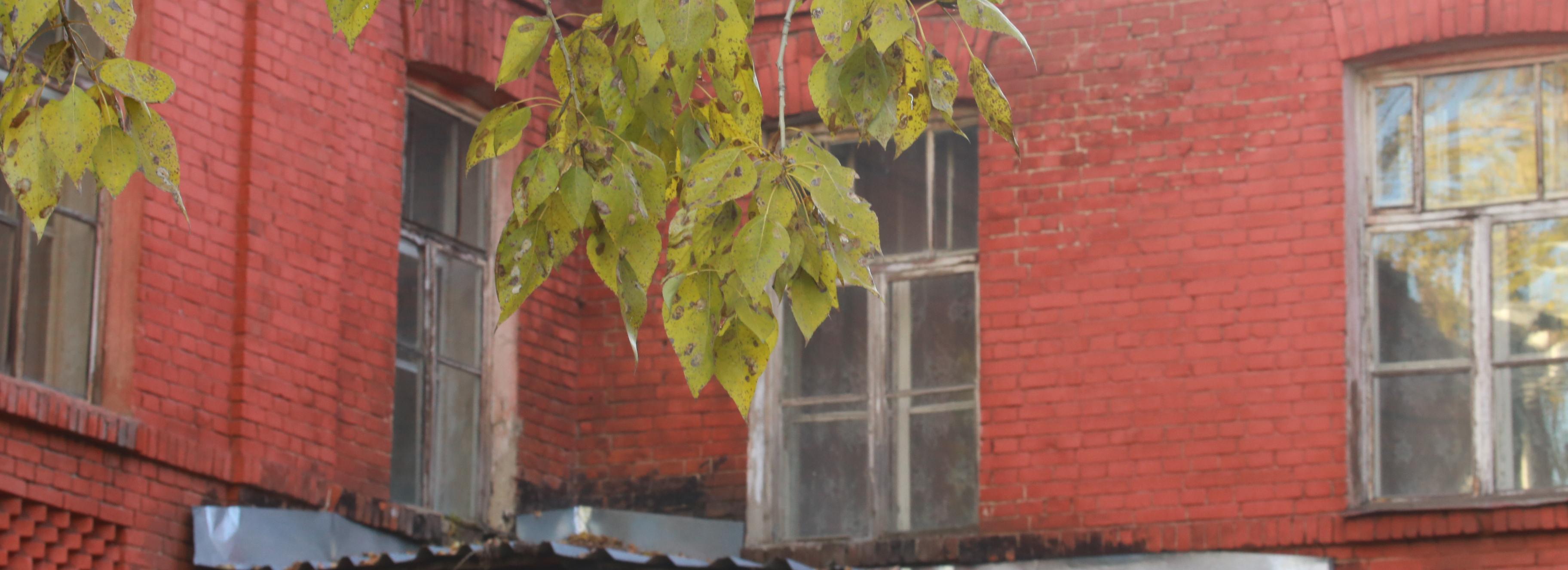 Реновацию старого военного городка в Новосибирске поставили на паузу