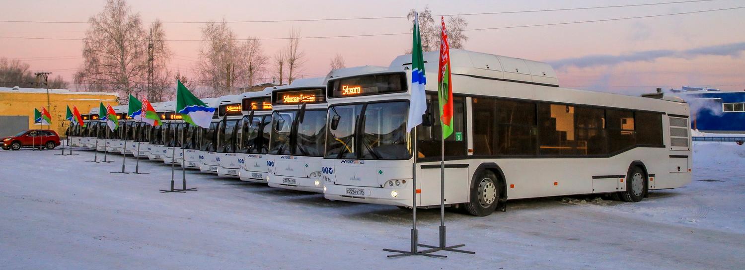 15 новых минских автобусов выходят на маршруты в Новосибирске