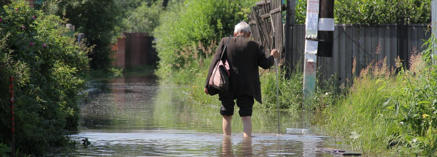 Заливные луга Новосибирска: краткая история наводнений в пойме Оби