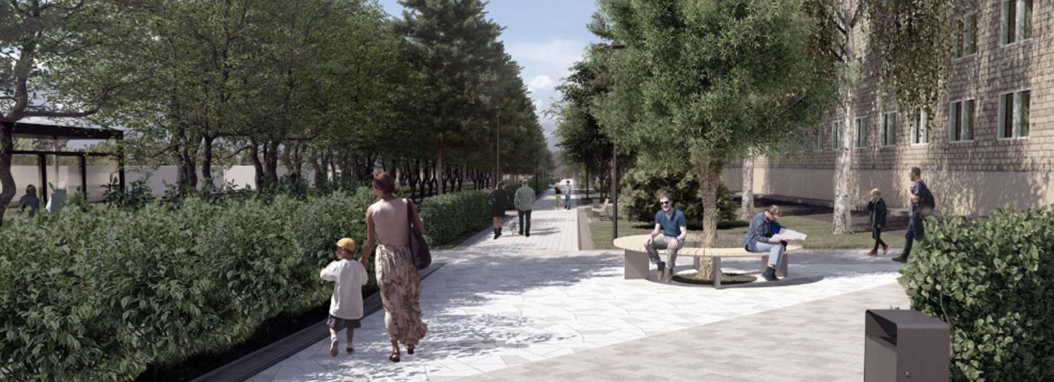 Разработан дизайн-проект сквера «Зыряновский» в Новосибирске