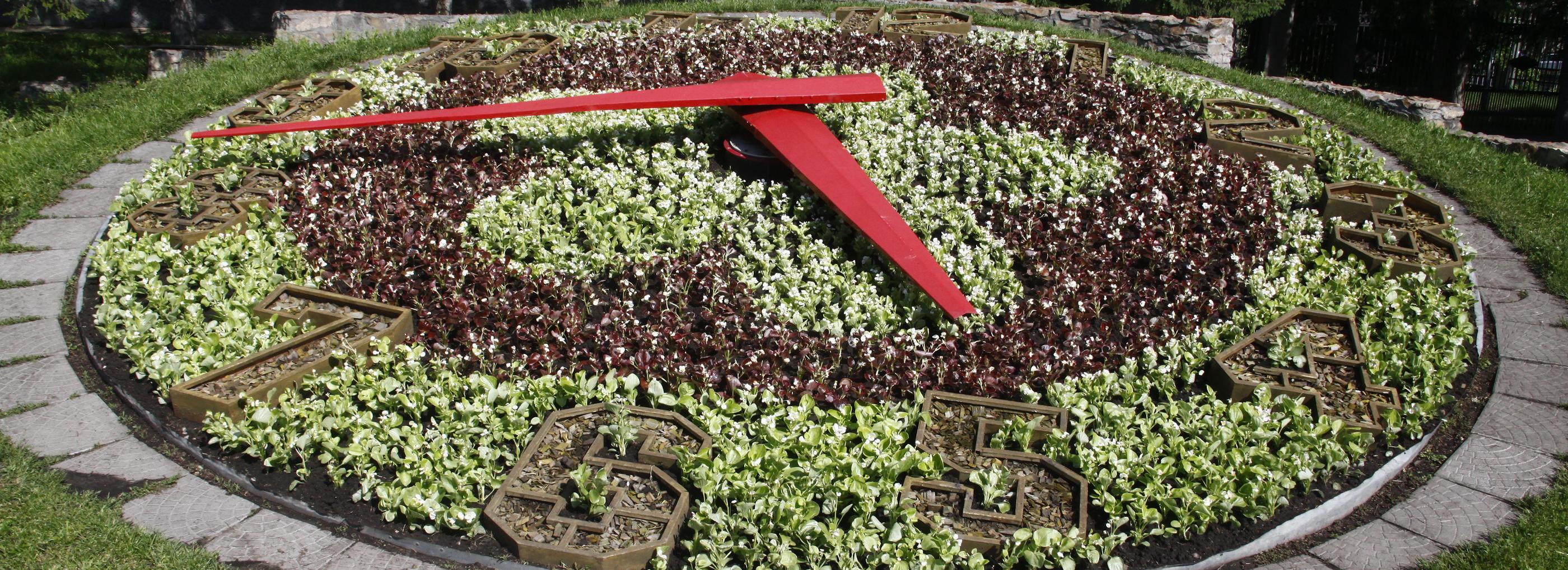 На часах — лето: пять тысяч бегоний украсили циферблат у Дома Ленина