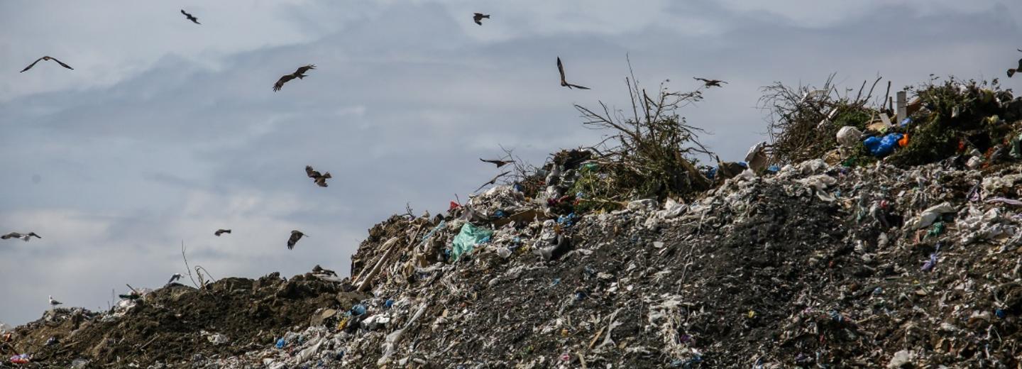 В 2025 году закроют Хилокский мусорный полигон в Новосибирске