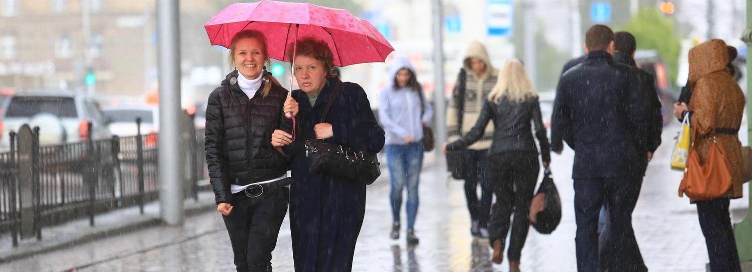 О заморозках до −3 градусов предупредили новосибирцев синоптики