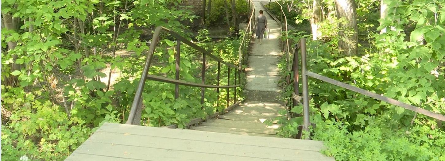 Каким будет новый парк в микрорайоне «Щ»: онлайн-опрос