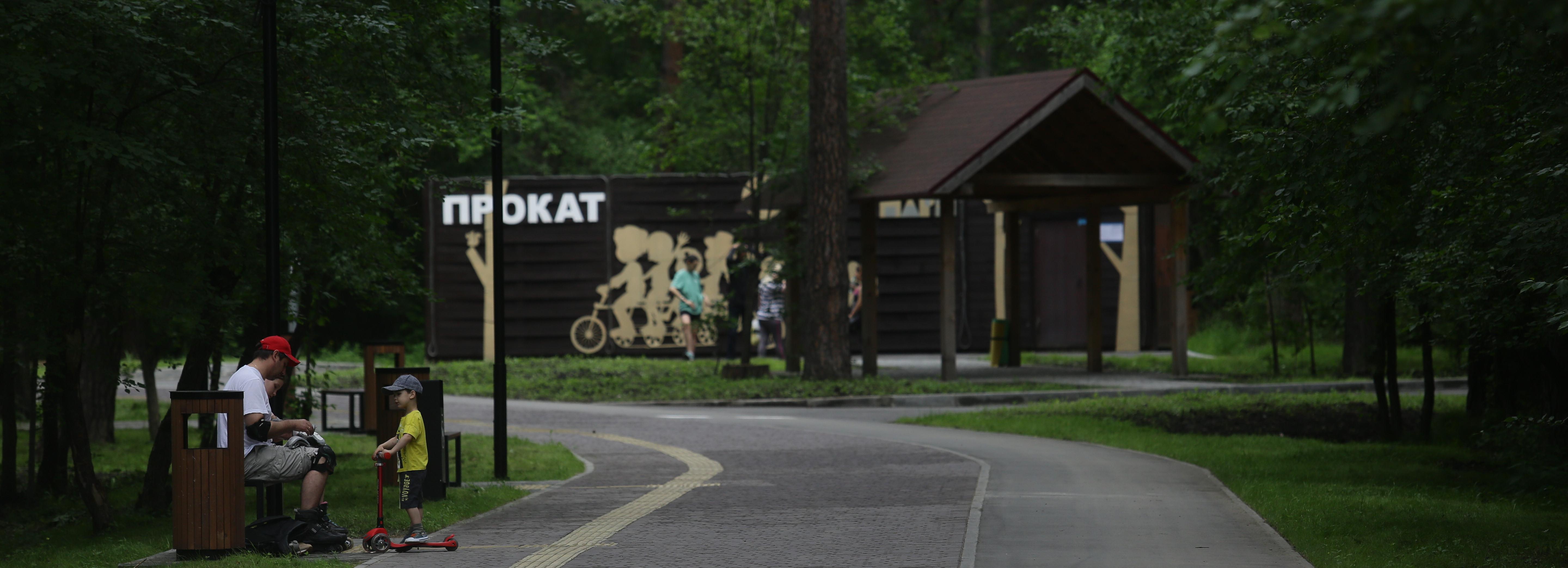 Зелёный Новосибирск: как изменился Заельцовский парк после реконструкции