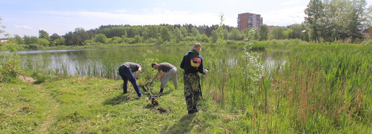 Чернильницу 30-х годов нашли во время субботника у озера новосибирцы